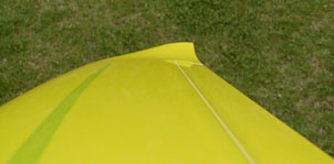 Wing